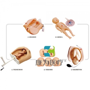 “康為醫(yī)療”高級腹部觸診、分娩機(jī)轉(zhuǎn)綜合模型